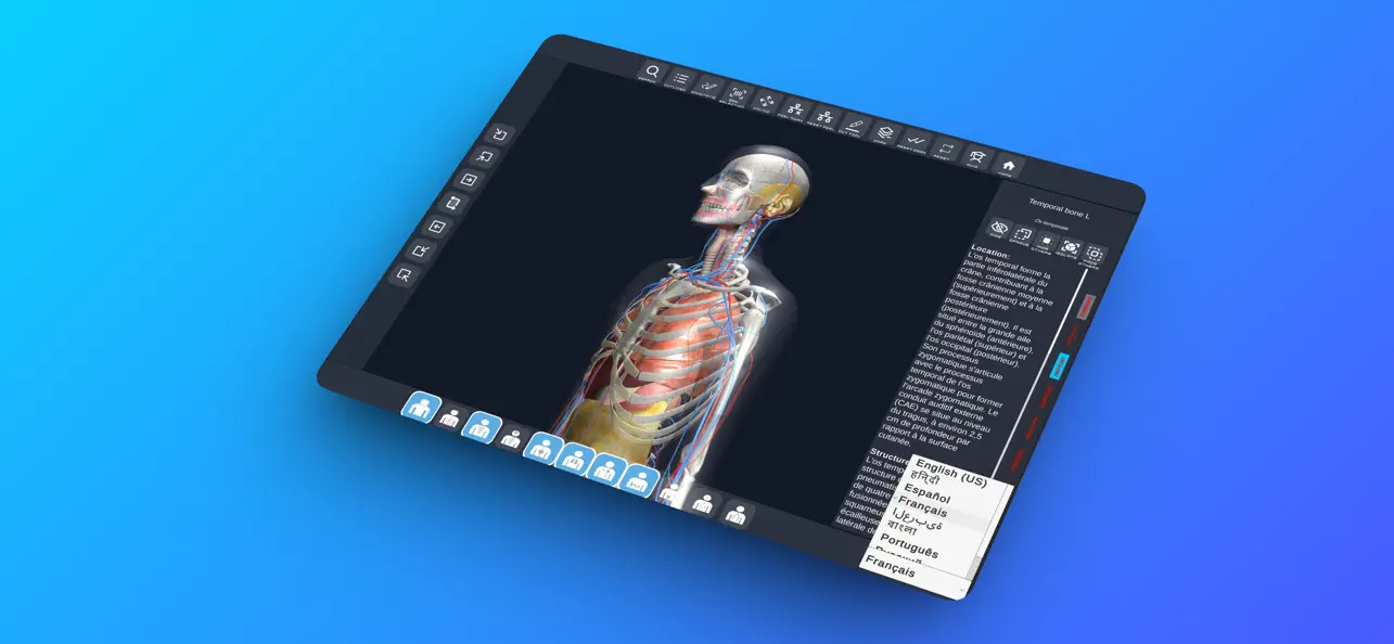 Screenshot #3 pour MALE 3D ANATOMY