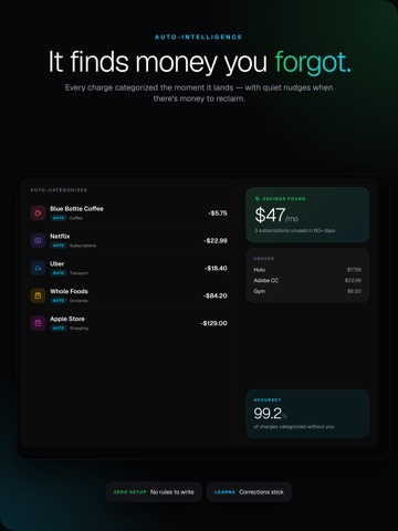 Prism Wallet - Budgeting App iPad screenshot