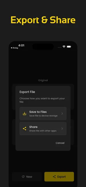 Noise Reducer, PureVoice screenshot 4