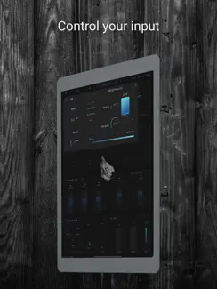 Rhino - Guitar Amp Sim iPad image 4