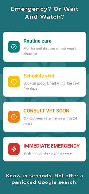 Triage Paw: AI Pet Triage screenshot 2
