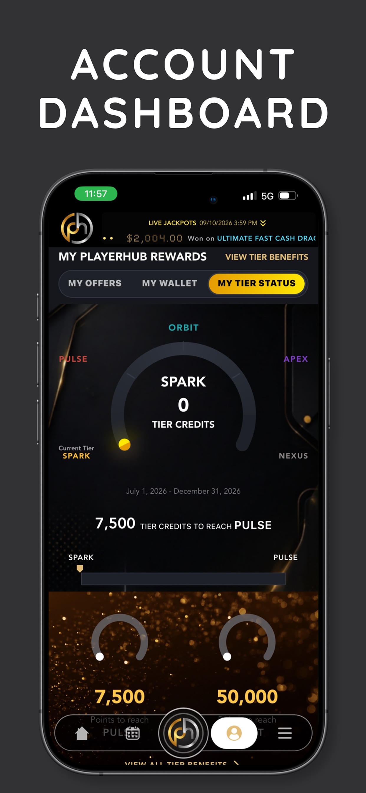 Screenshot 2 of PlayerHub Resort