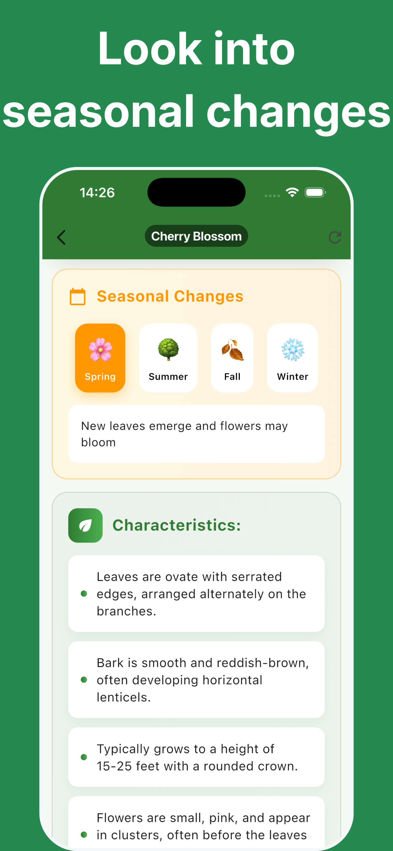 Tree Identifier: AI Scanner