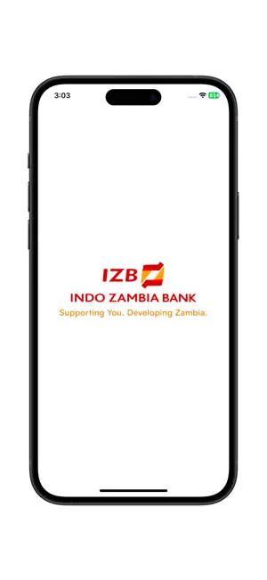 IZB NXT Corporate screenshot 1