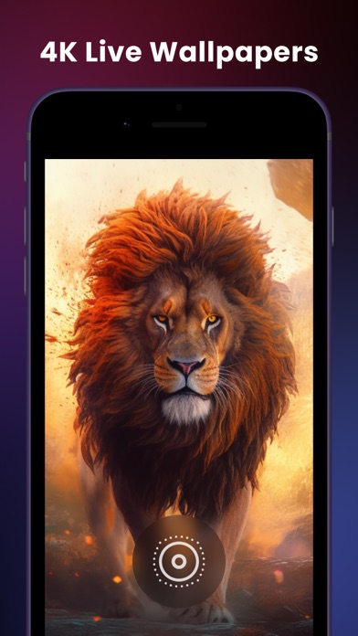 4k Live Wallpapers: WallPics Screenshot