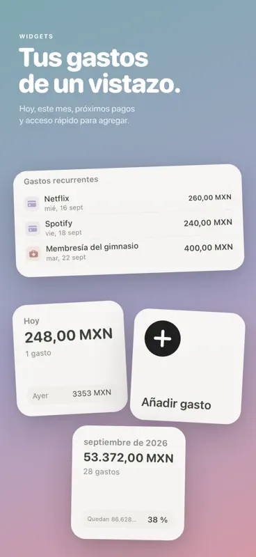 Walti: Control de gastos screenshot 4 of 10
