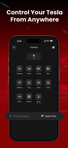 Elvee - For Your Tesla Screenshot 9 of 9