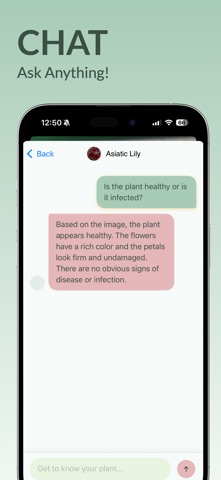 Flower Identifier: FloraAi screenshot