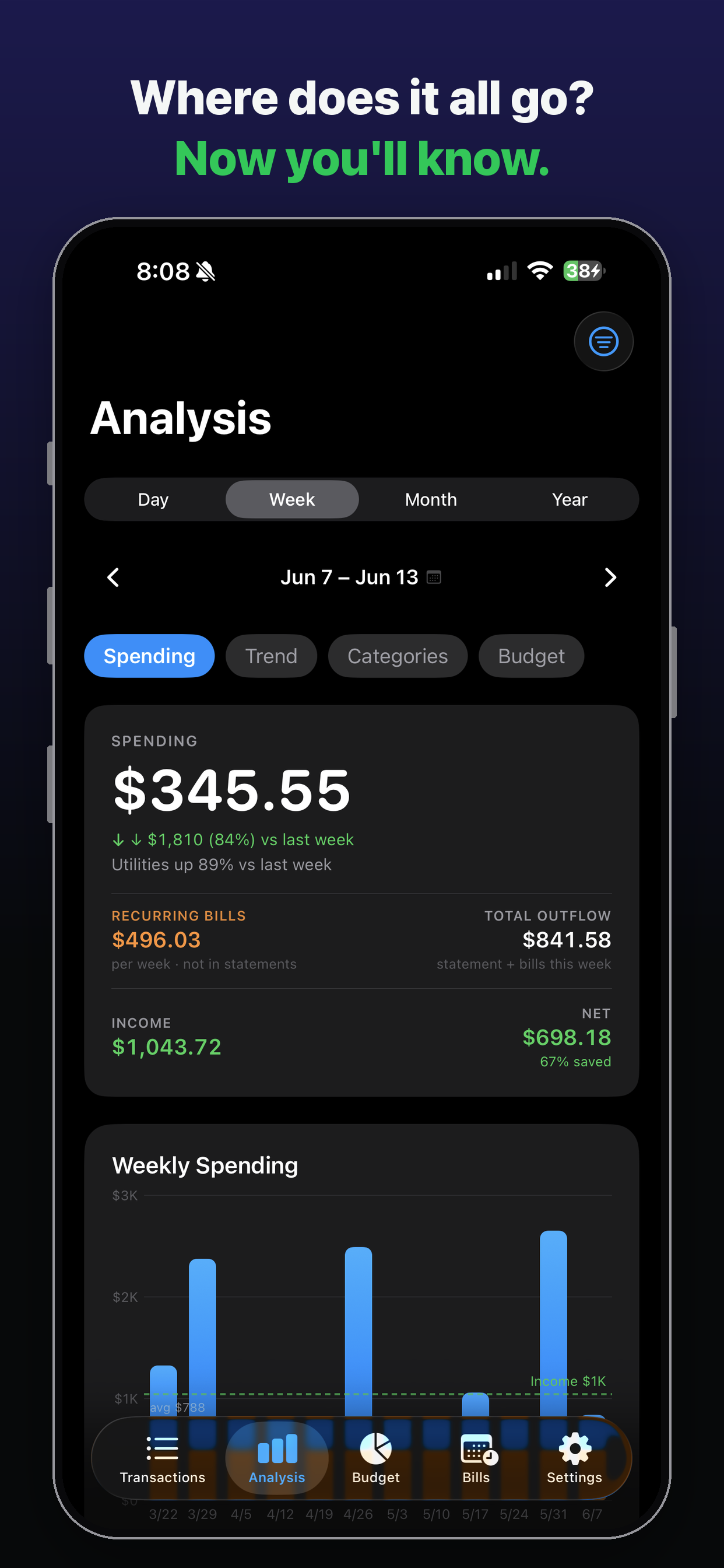Local Budget: Statement Scan screenshot 3