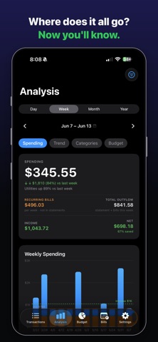Local Budget: Statement Scan iPhone screenshot
