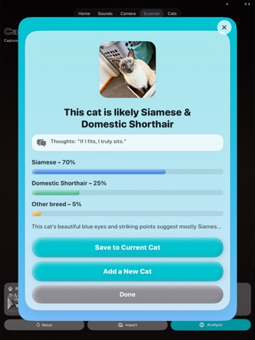 CatChat: Translator & Scanner iPad screenshot