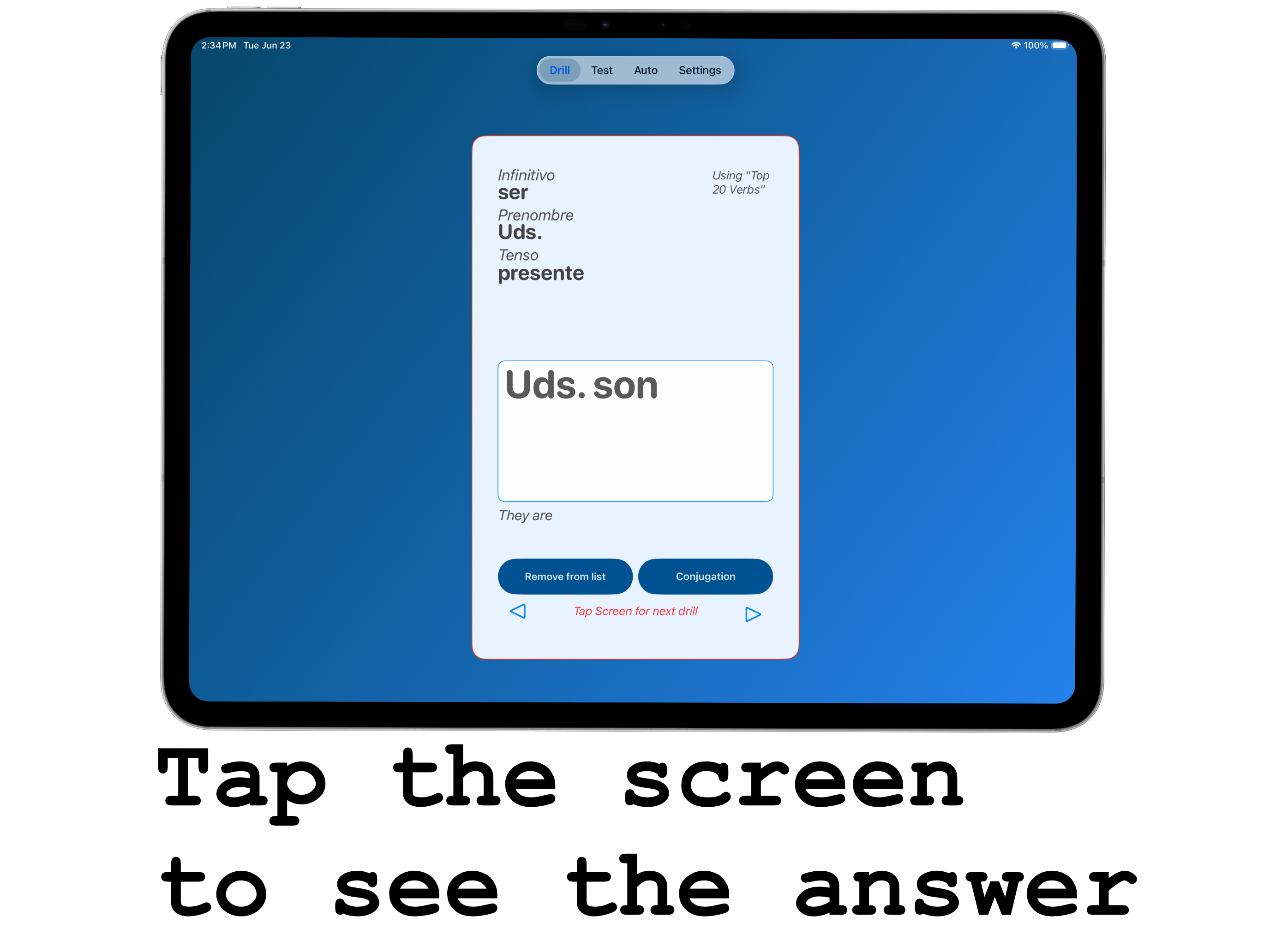 Spanish Verb Drill Practice screenshot 12