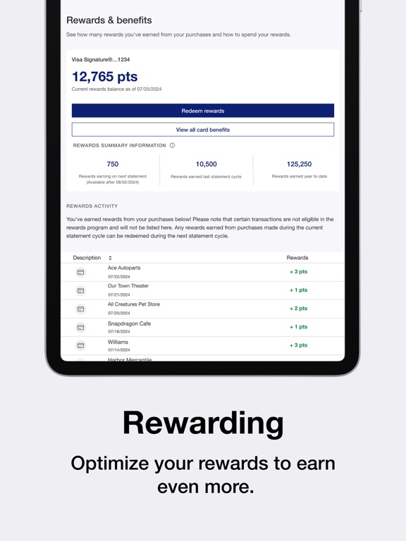 Elan Credit Card iPad screenshot 4 - Finance app