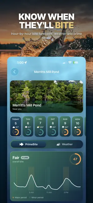Finmo: Make Money Fishing screenshot 4