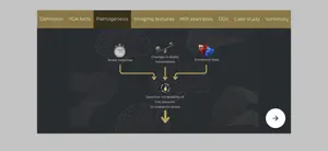 Transient Global Amnesia screenshot 3