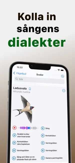 Nordiska fågelljud iPhone screenshot 4