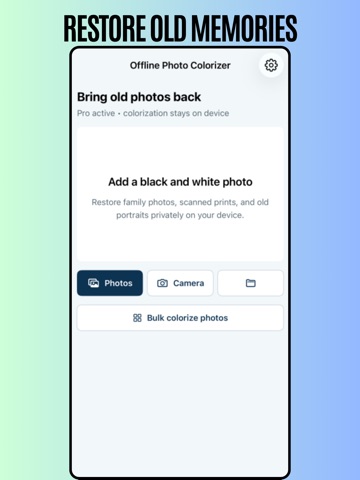 Offline Photo Colorizer