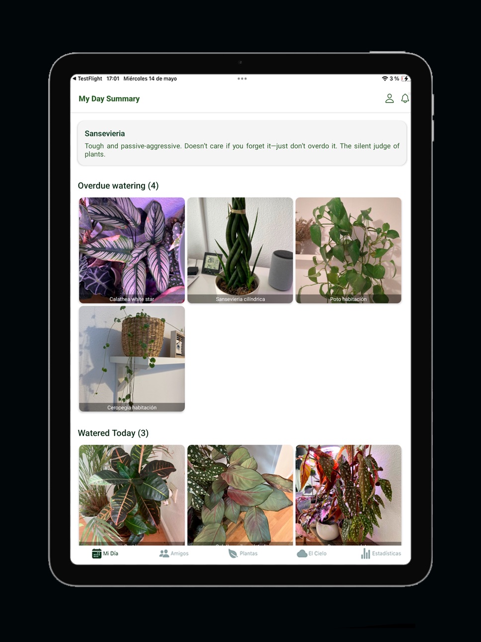 iPad screenshot