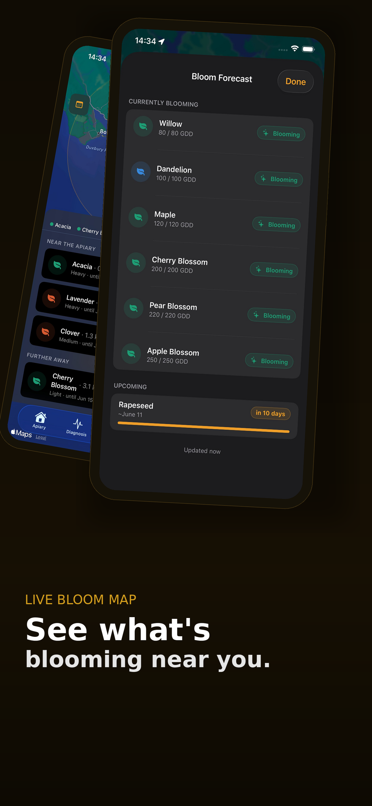BeeKeeper: Hive Manager