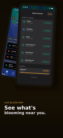 BeeKeeper: Hive Manager Screenshot 4 of 4