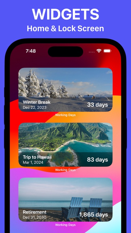 Working Days Counter & Widget