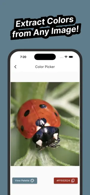 Color Finder & Color Picker screenshot 2