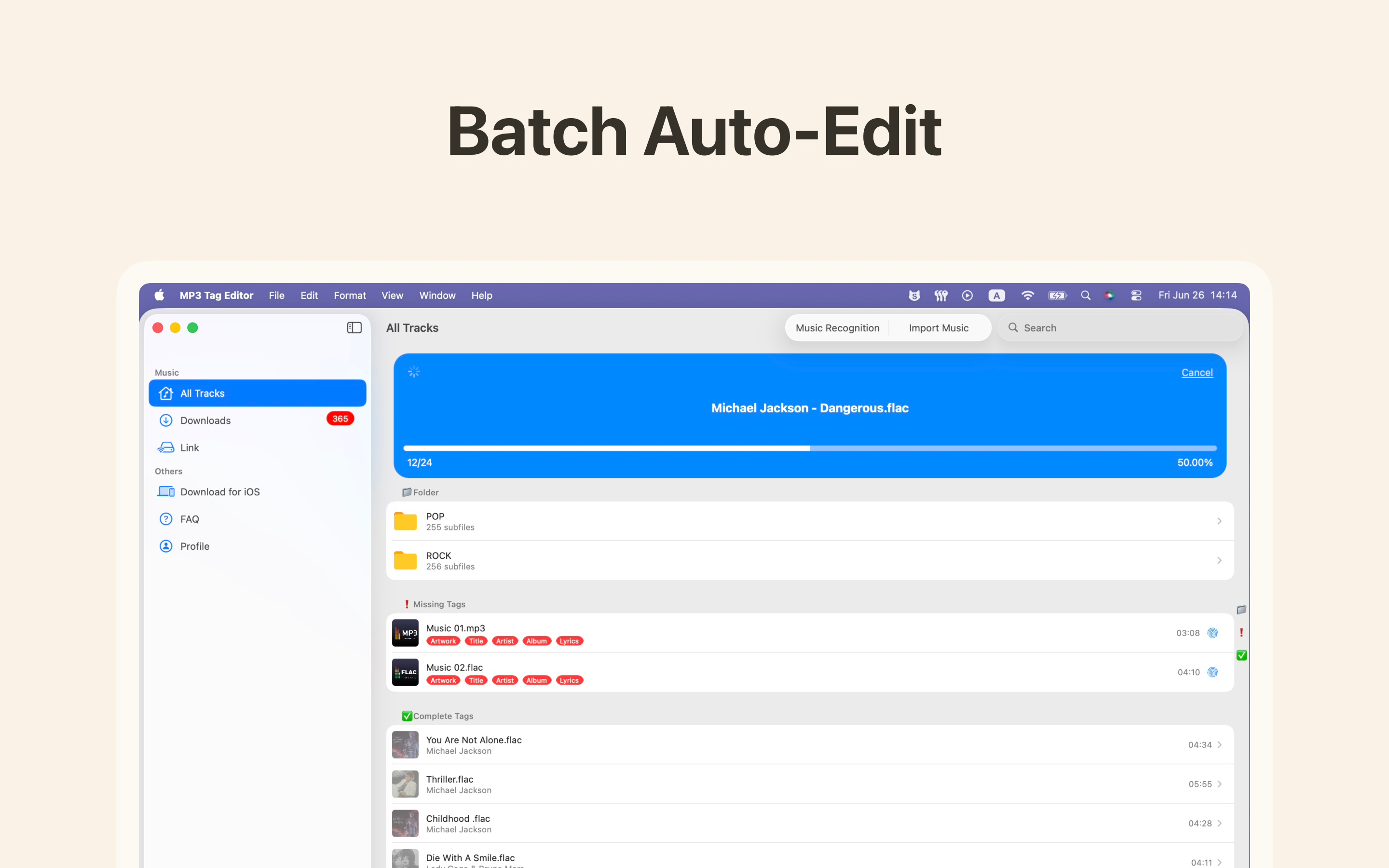 MP3 Tag Editor - Audio Match