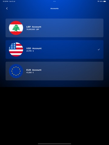 Blue Wallet Fintech ipad screenshot 4