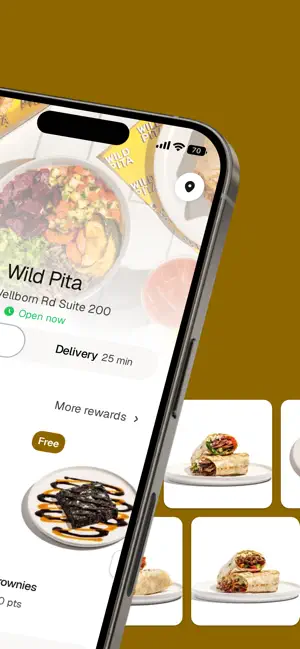 Wild Pita screenshot 2
