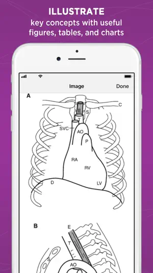 Pediatrics Central screenshot 4