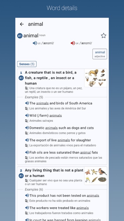 English-Spanish Dictionary Pro