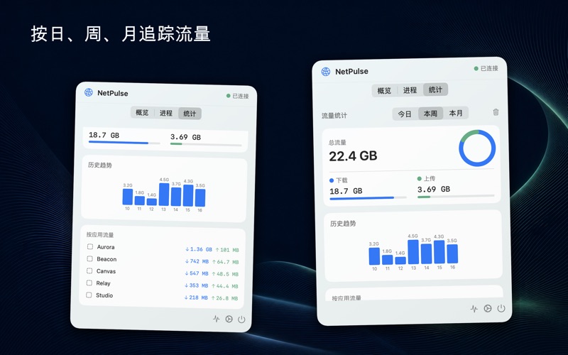 NetPulse screenshot