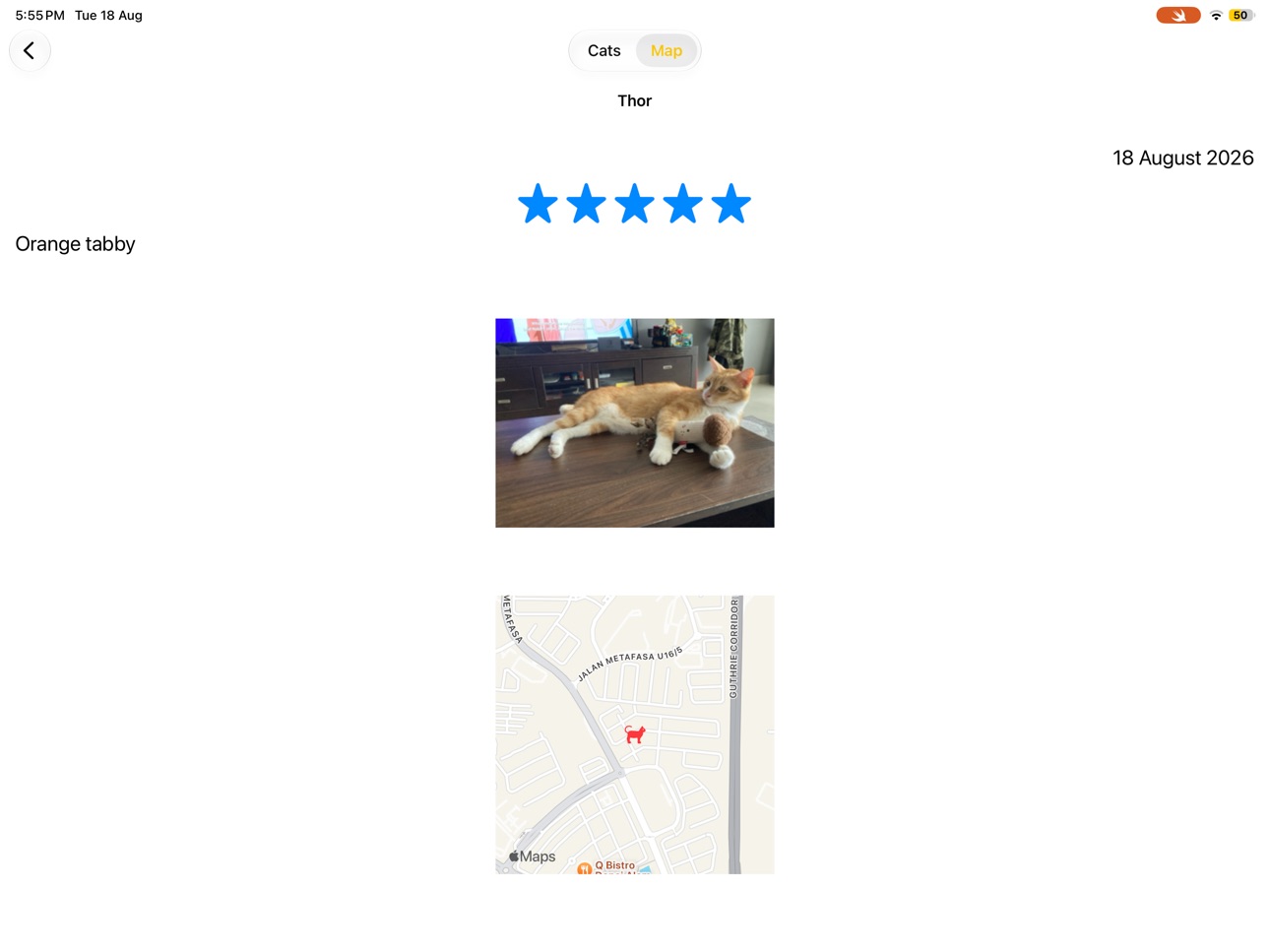 Screenshot 7 of TomaCatLog