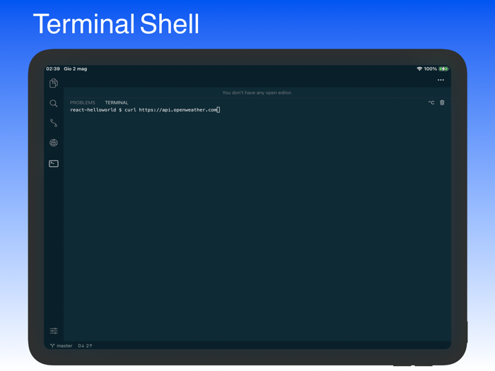 Code - Editor Git and Terminal