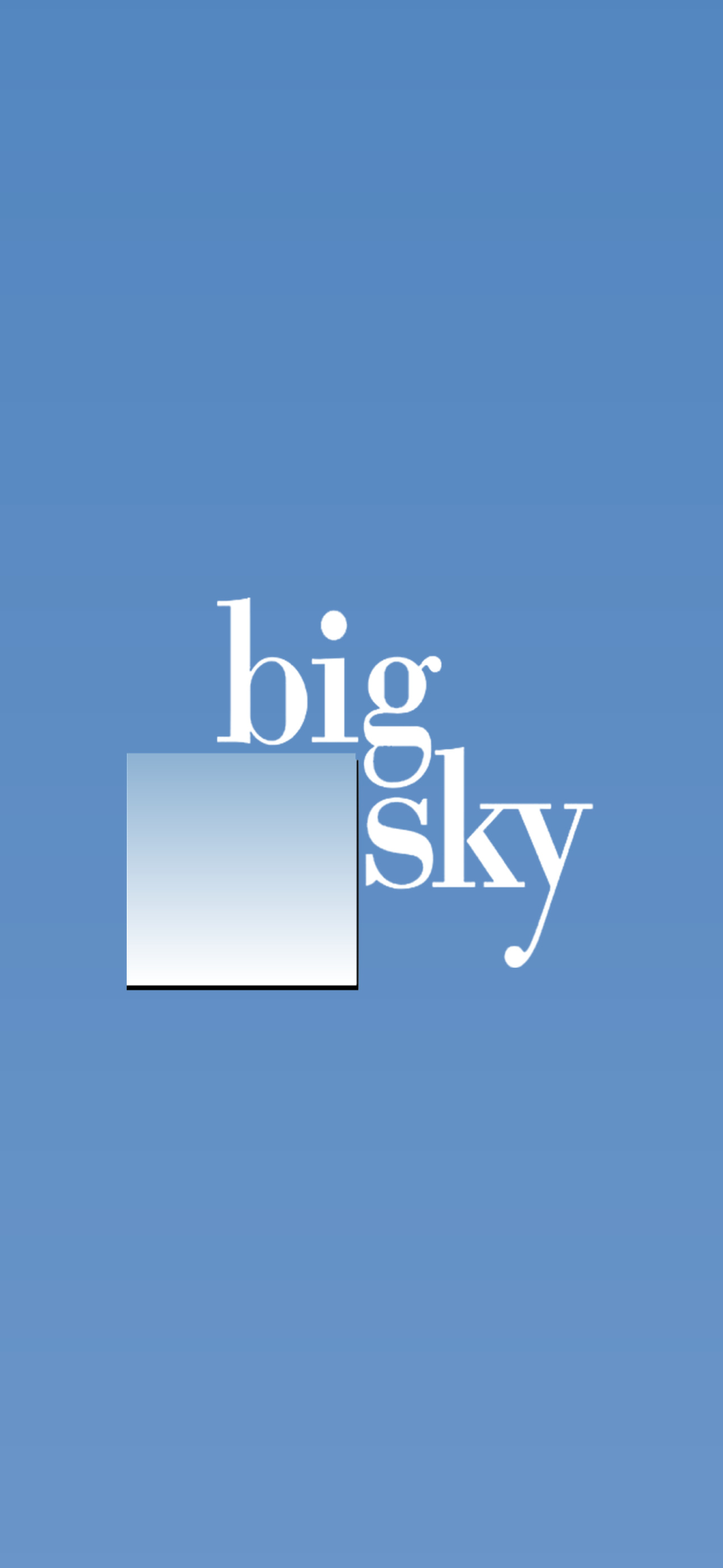 Team Big Sky
