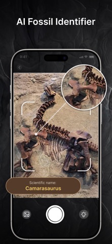 Fossil Identifier Artifact ID screenshot