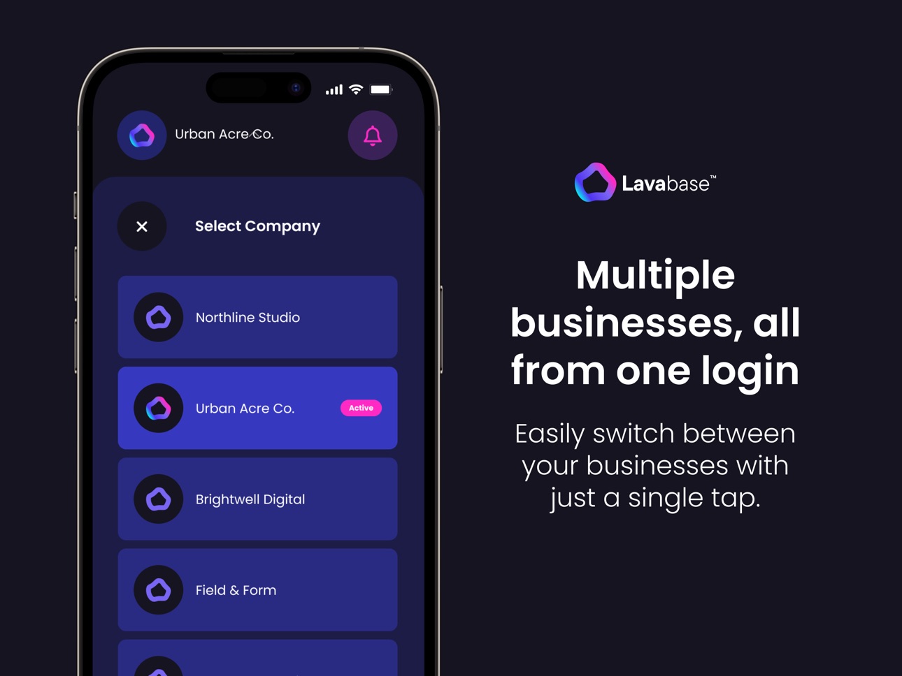 Screenshot 10 of Lavabase