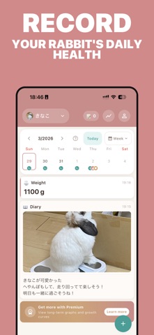 usagiDiary Screenshot 1 of 3