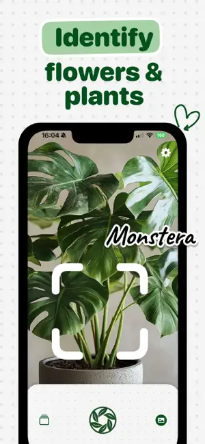 Flower Identifier: Bloomsnap screenshot 1
