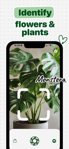 Identify Plants: Bloomsnap screenshot