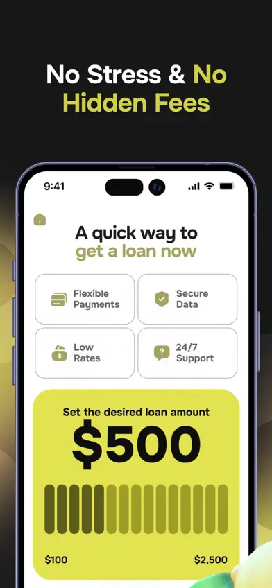 Cash Advance - Same Day Loan screenshot 4