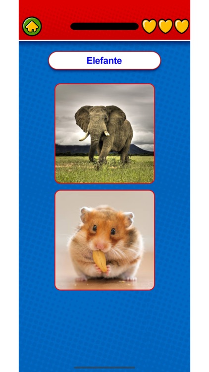 Mexican Spanish Flashcards