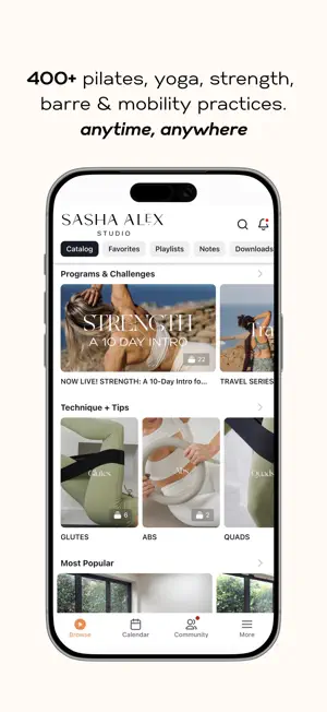 Sasha Alex Studio screenshot 2