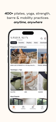 Sasha Alex Studio Screenshot 2 of 5