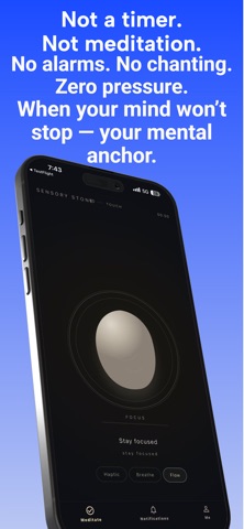 Worry Stone AI: Focus & Calm Screenshot 4 of 4