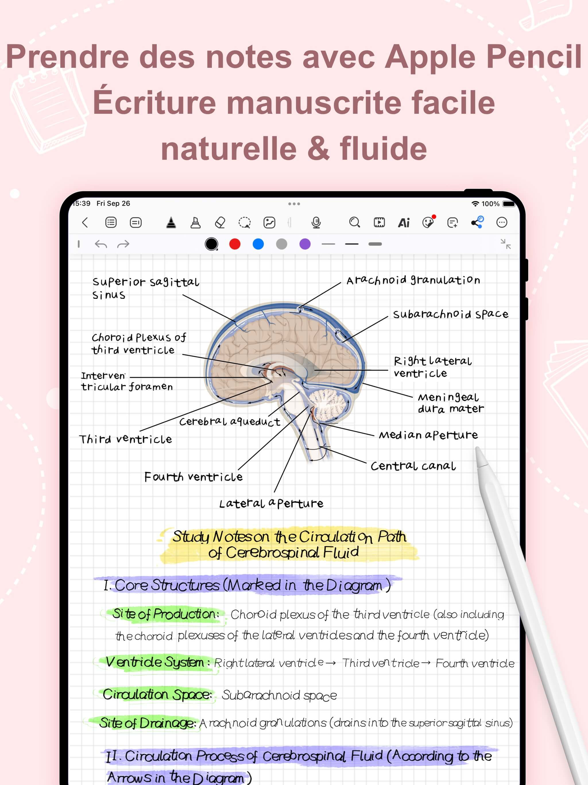 https://is1-ssl.mzstatic.com/image/thumb/PurpleSource221/v4/ed/1e/21/ed1e217d-4109-7671-de07-3112f1b849ea/_U6cd5_U8bed1.jpg/2048x2732.png
