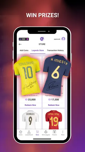 Copa Fantasy screenshot 3
