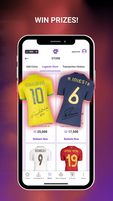 Screenshot #3 pour Copa Fantasy