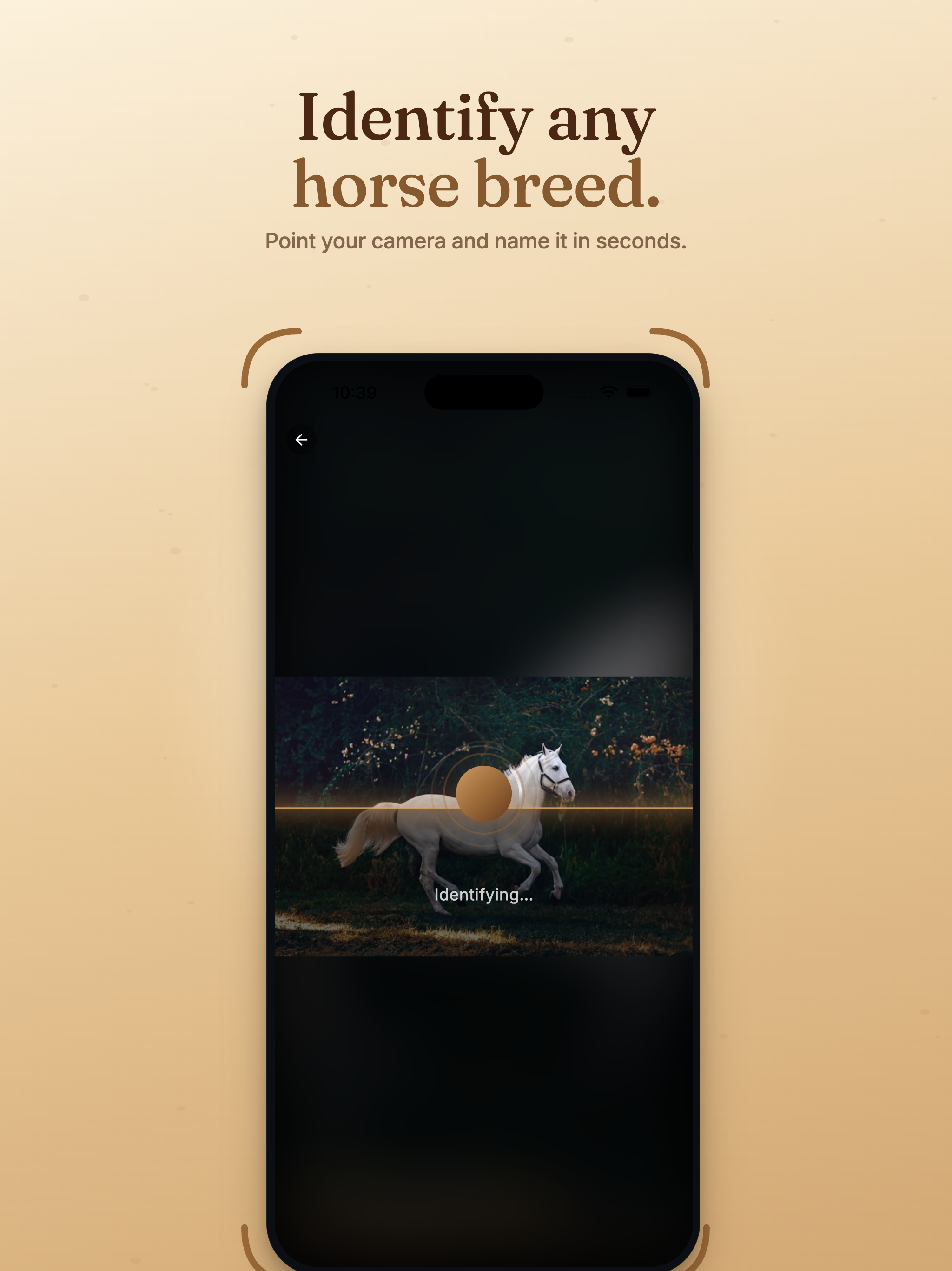Horse Identifier & Breed ID screenshot 7