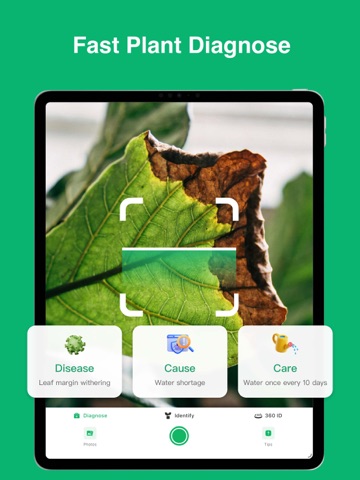 Plant Identifier: ChatPlant AI iPad screenshot